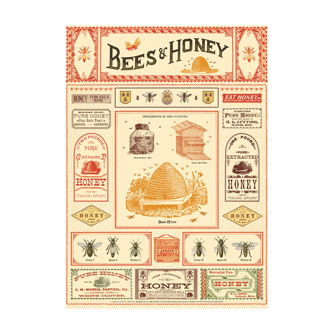 Poster decorativo Bees & Honey