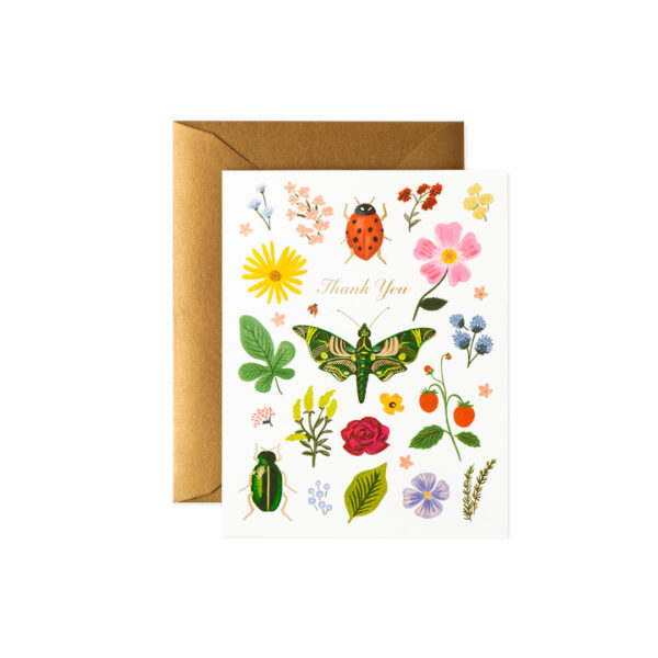 Tarjeta Curio thank you