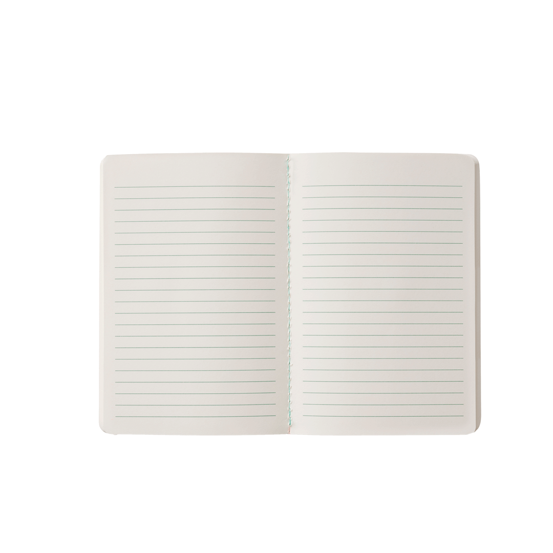 Set de libretas bolsillo Estee