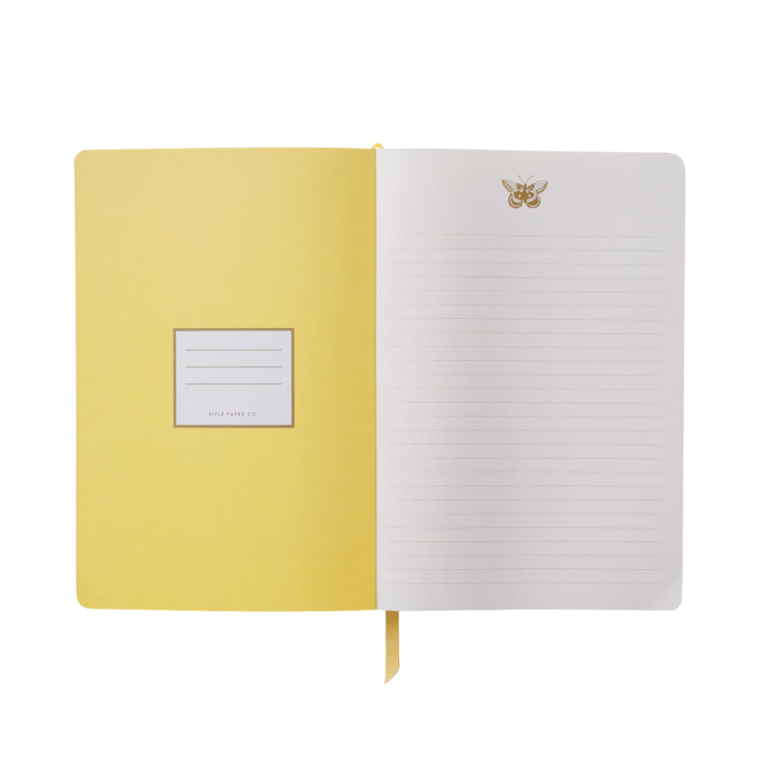 Cuaderno mediano Curio butterfly