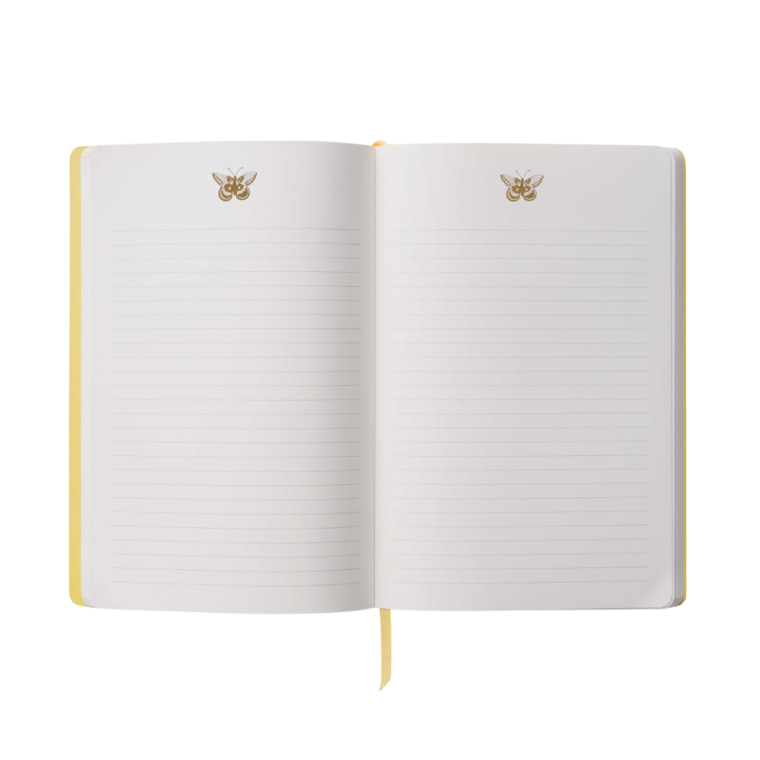 Cuaderno mediano Curio butterfly