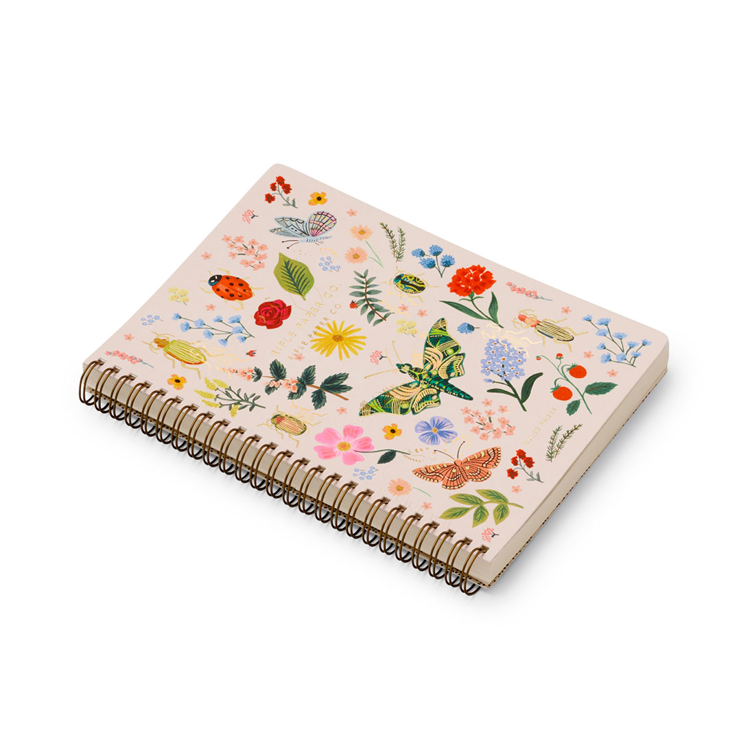 Cuaderno mediano Curio